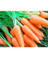Chương trình giáo dục dinh dưỡng 3 phút thay đổi nhận thức -  Cà rốt tốt cho sức khỏe