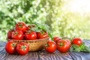 qua ca chua shutterstock 453371821 PFLA