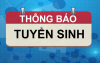 Thông báo tuyển sinh trường Tiểu học Yết Kiêu năm học 2023 - 2024