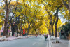 Giới thiệu sách tháng 10 năm học 2023 - 2024